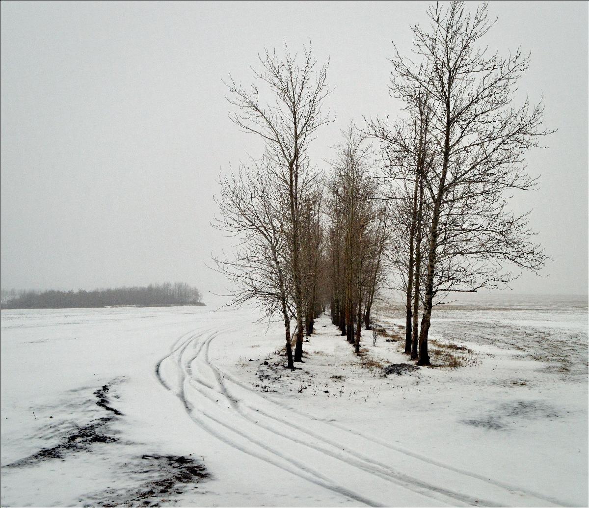 Полевая дорога