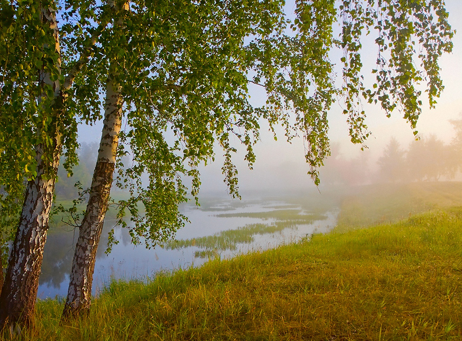 Рыбацкая зорька