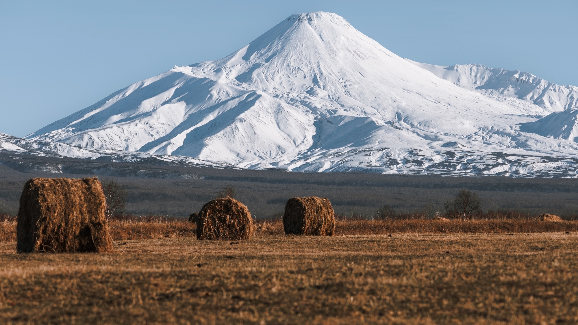 Камчатка. Конец ноября, снега нет