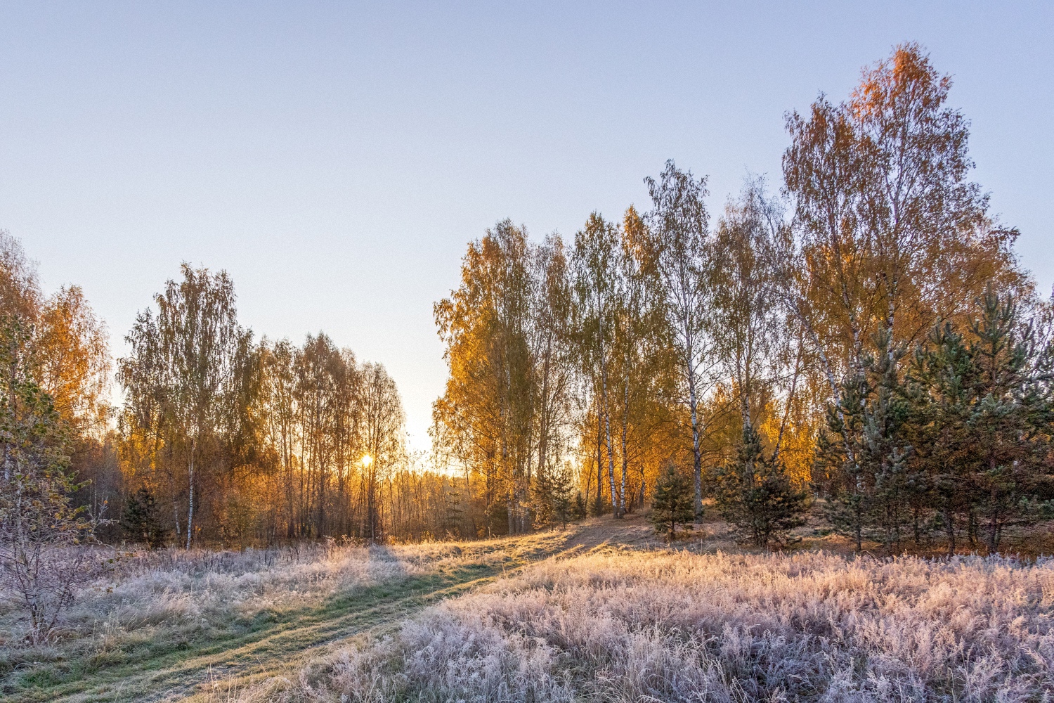 Первые заморозки