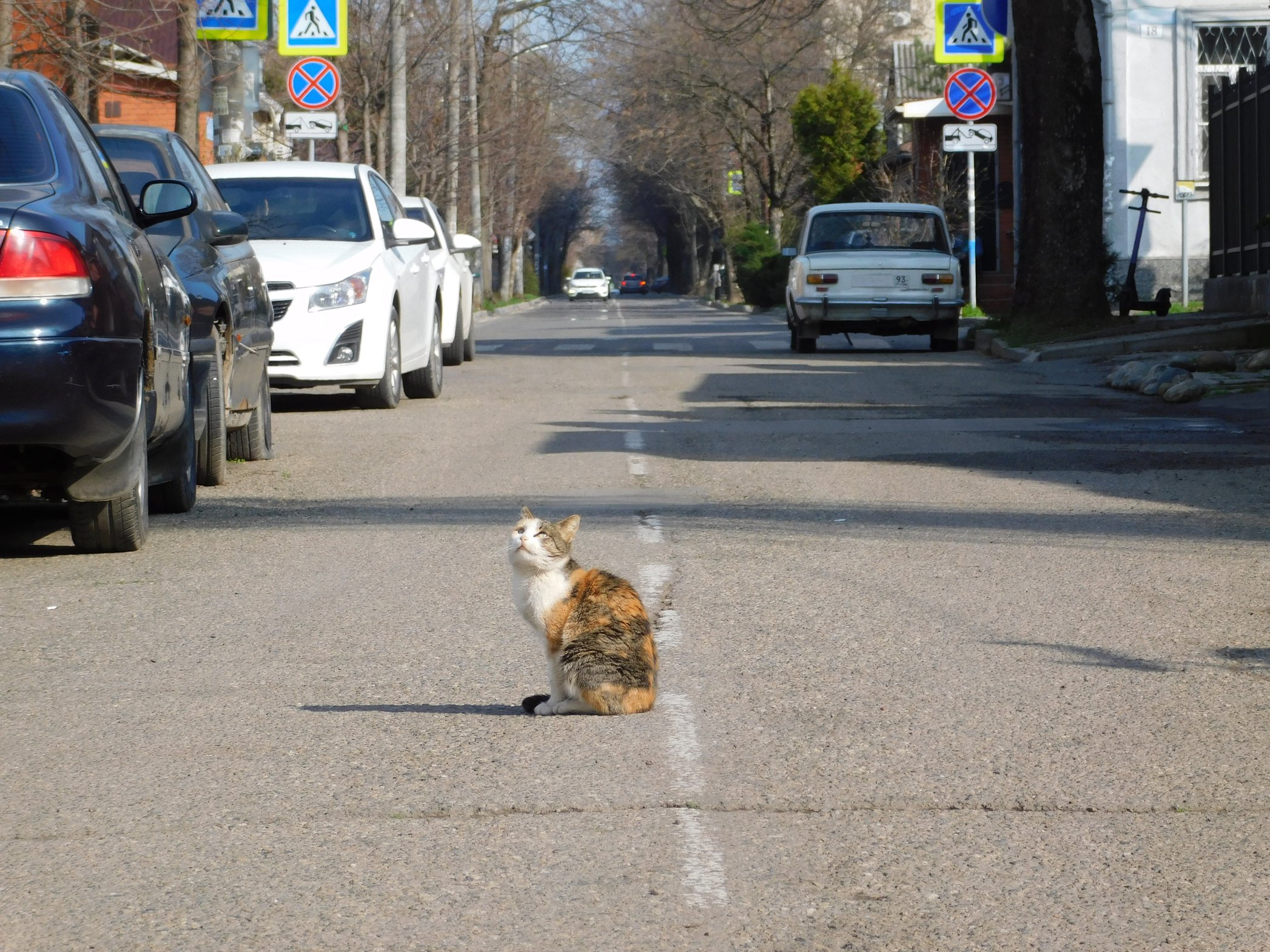 Король дороги