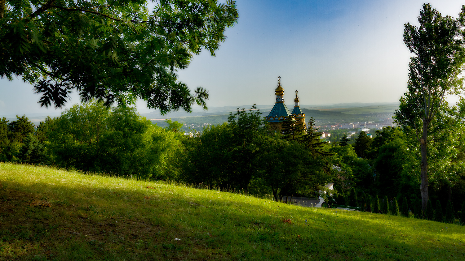 Летний кадр.