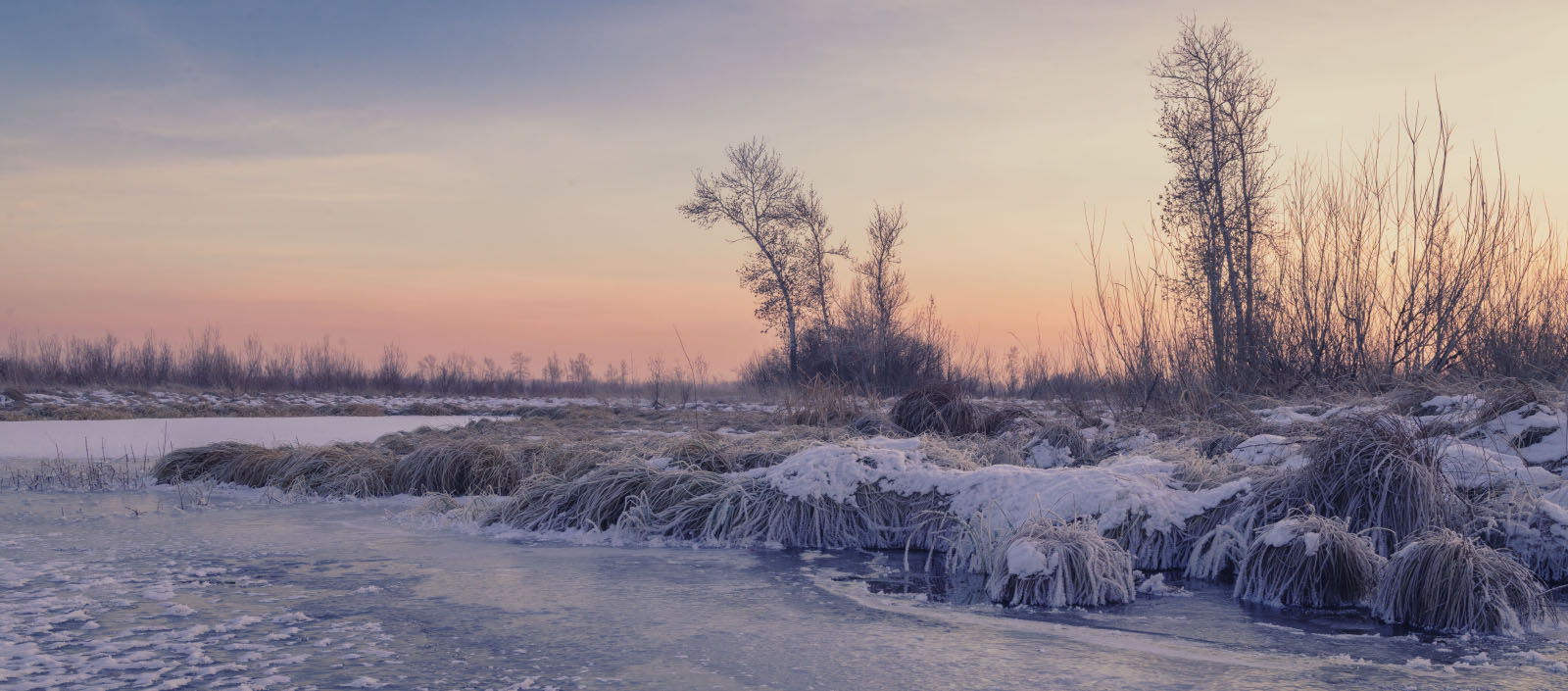 Зимний берег водоема.