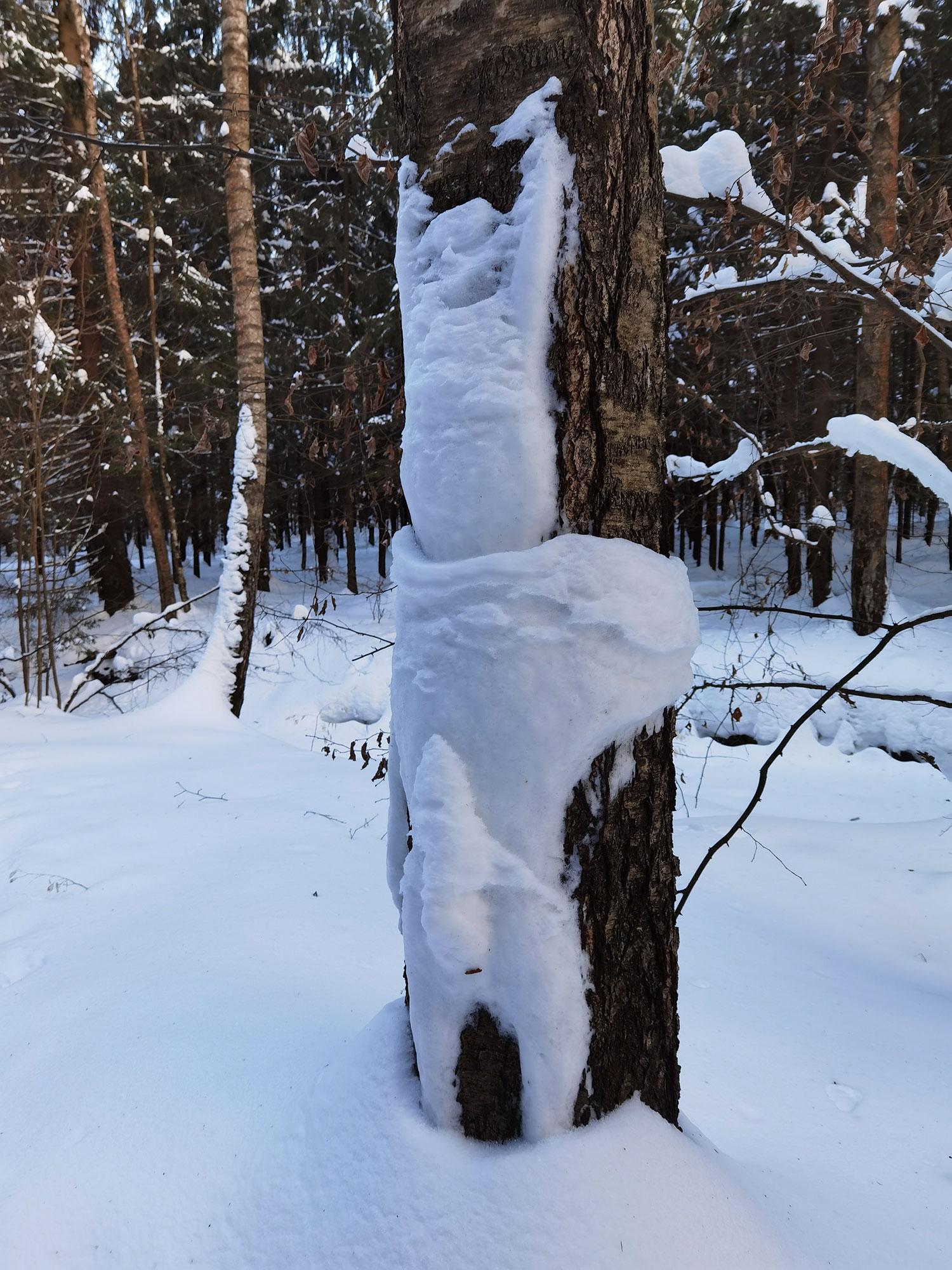 Ты заходи, если чё