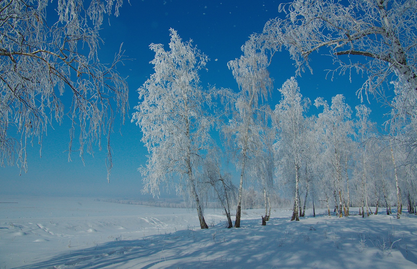 Новогоднее