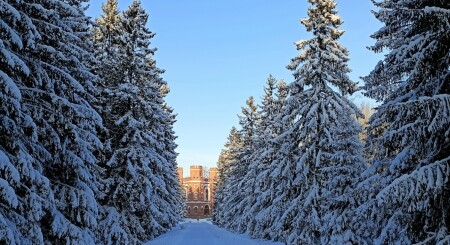 Аллея