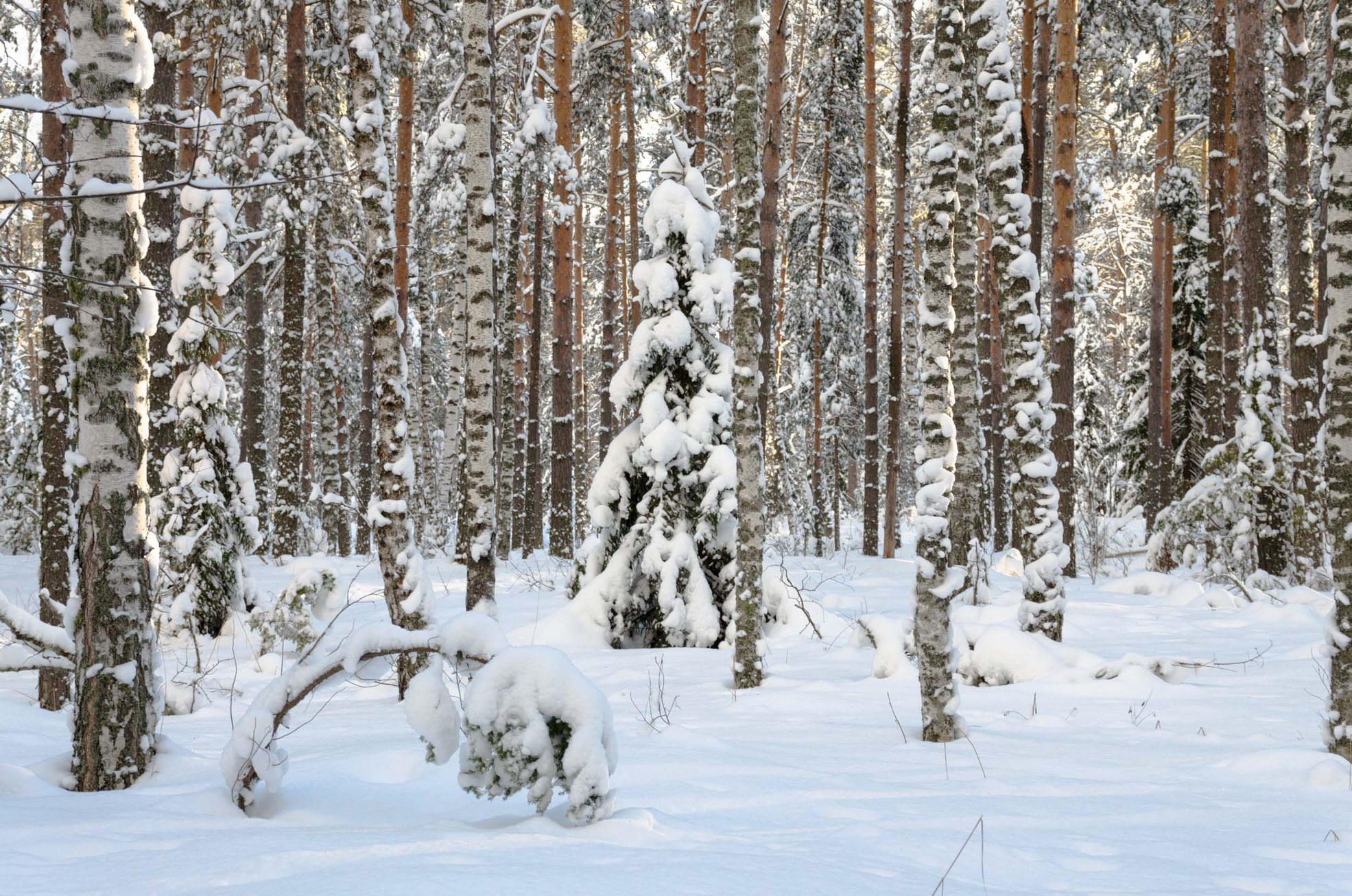 Весна на за горами