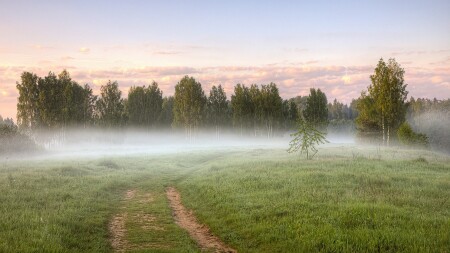 Я приглашаю Вас в туман