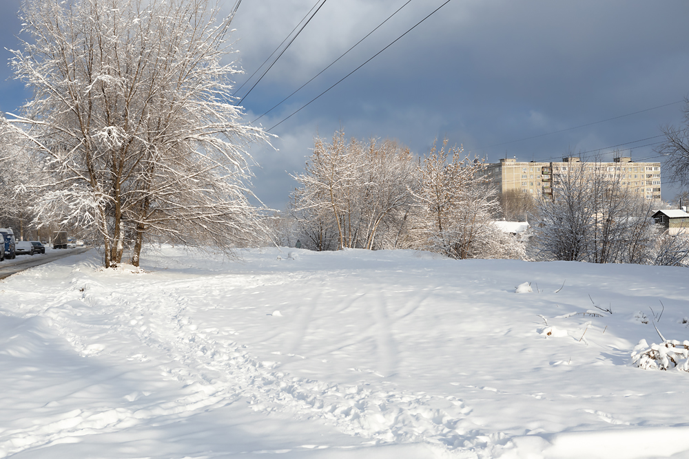 Снежный день в городе