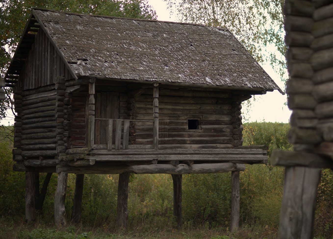 Бани на сваях из Спас-Вежи