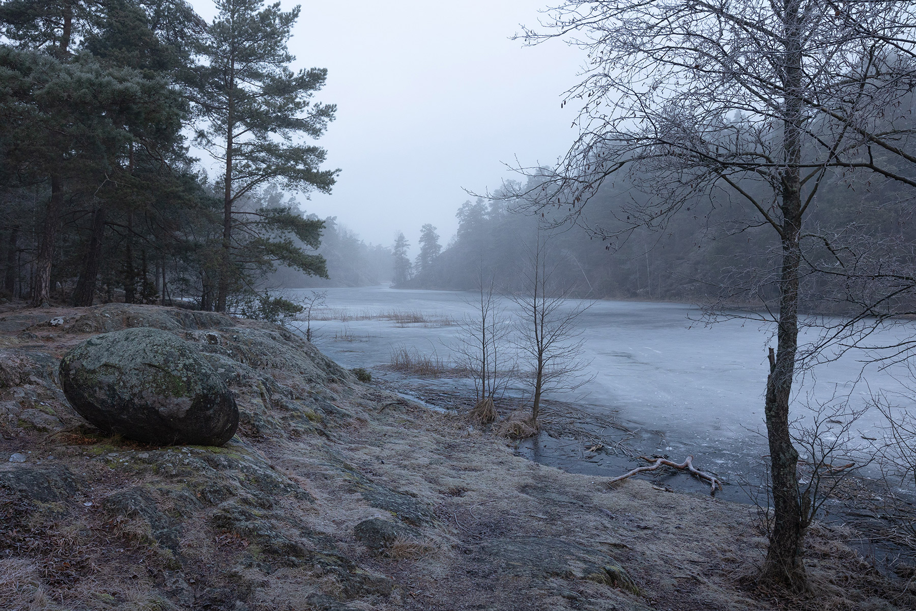 Dammtorpssjön