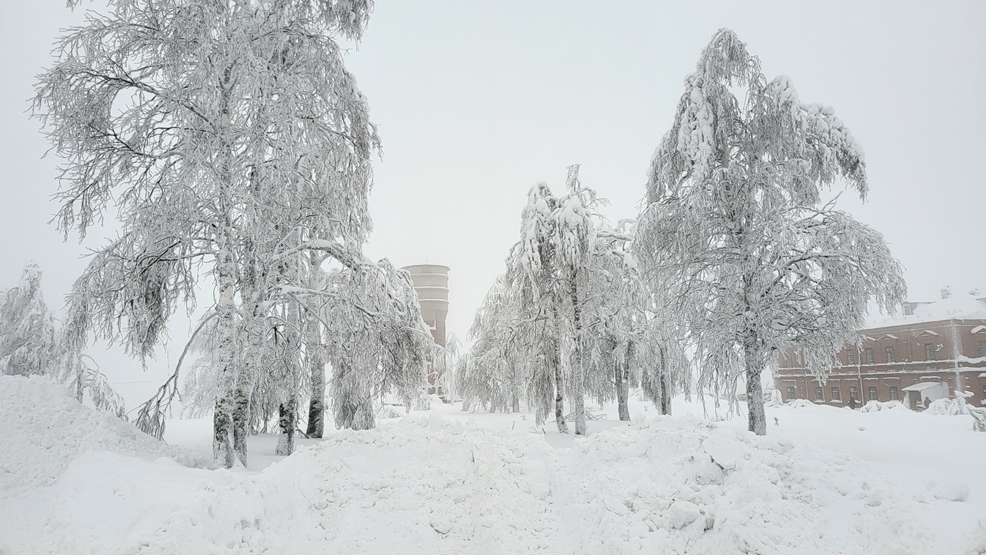 Много снега.