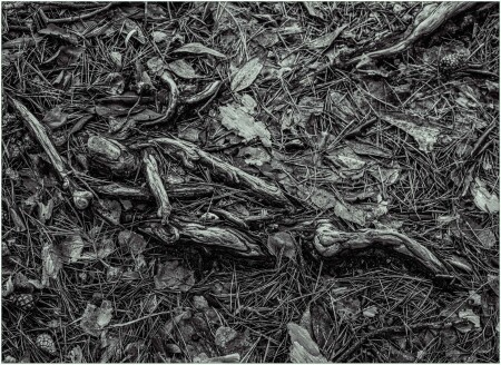 Песнь о Роланде.