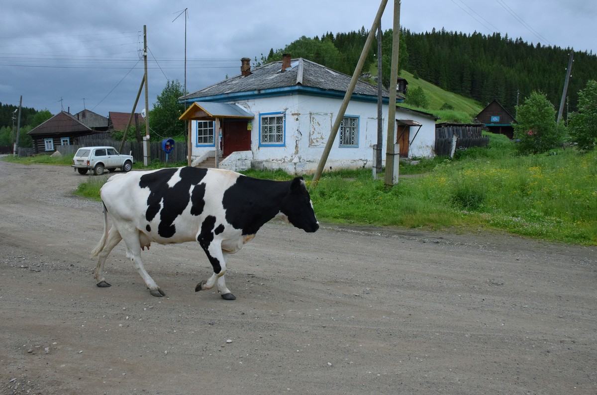 Сельская жизнь