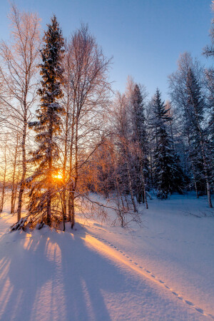северное солнце