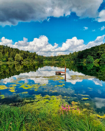 Reflection
