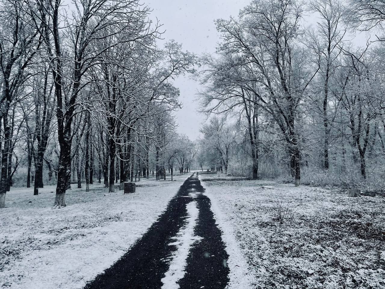 Волшебство мгновений