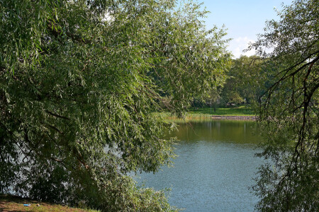 В городском парке