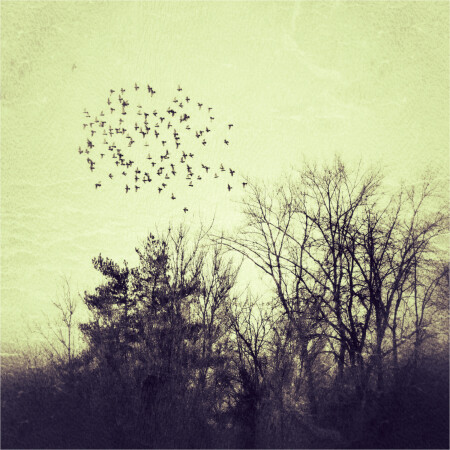 Весна рядом