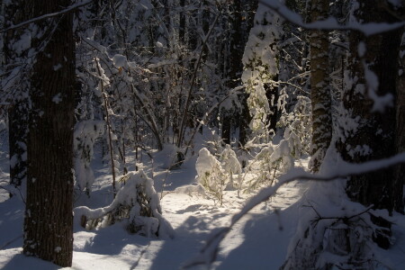 Зимний лучик
