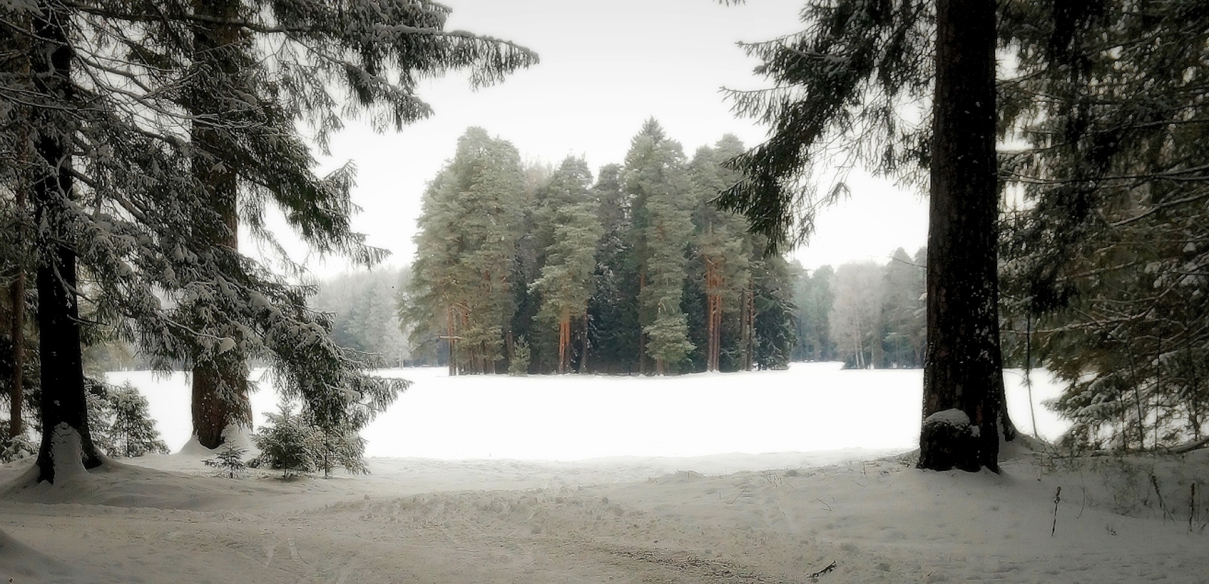 Прогулка в парке