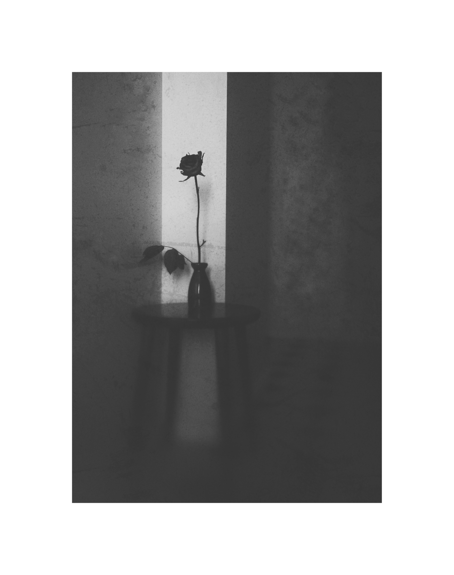 Светотень