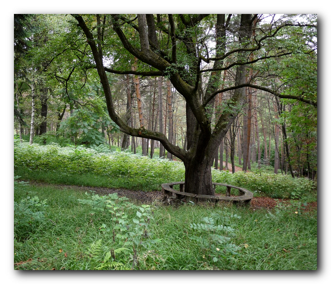 В весеннем парке