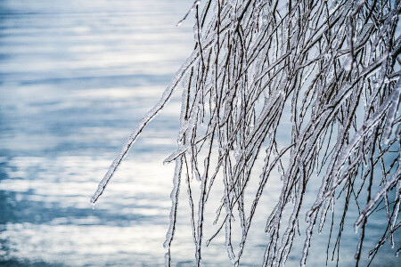 Ледяной дождь