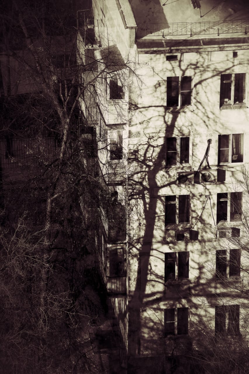 Тень...