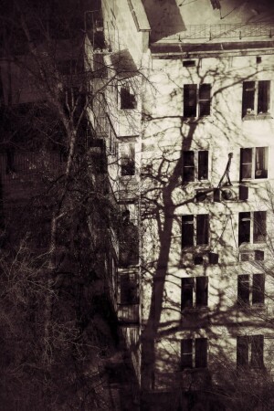 Тень...