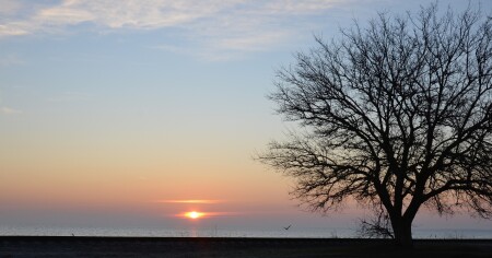 силуэт природы