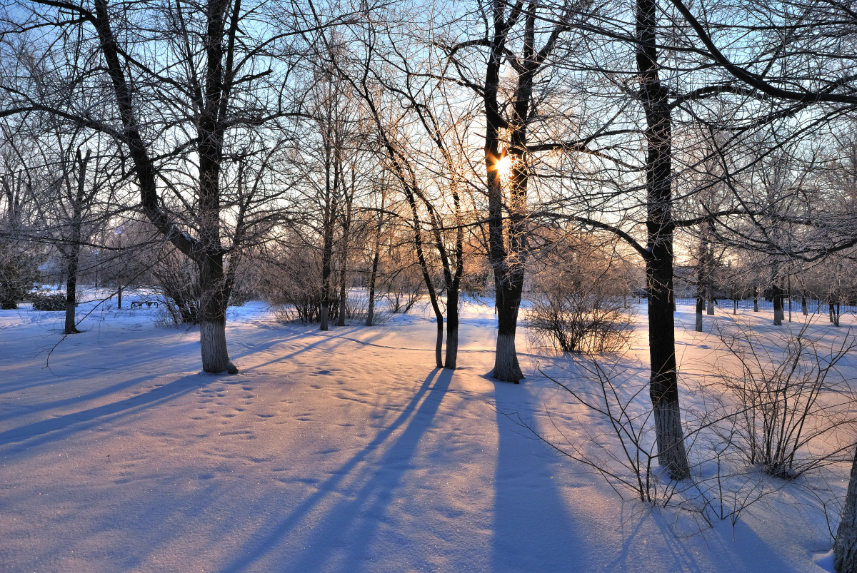 Морозное утро