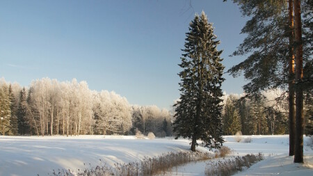 Морозно и солнечно