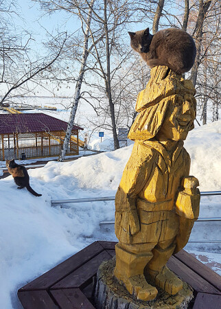 Мартовские коты