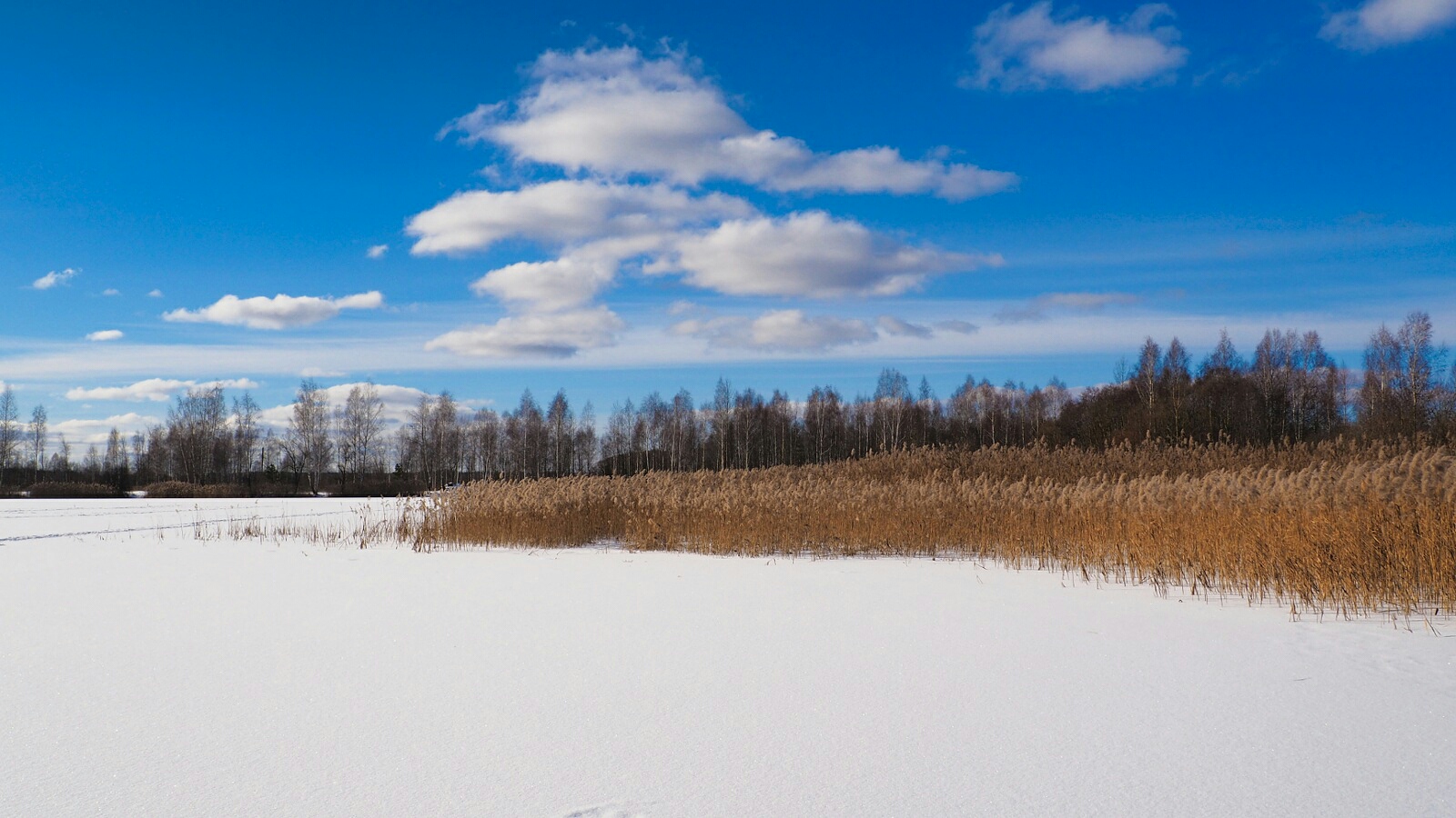 Природа Смоленщины 