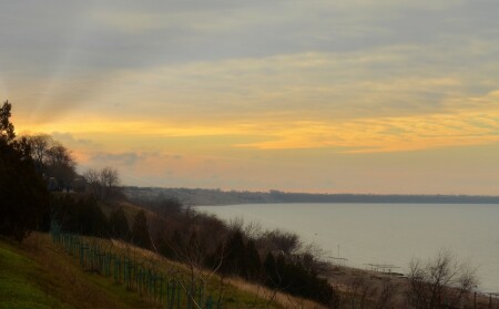 силуэт природы