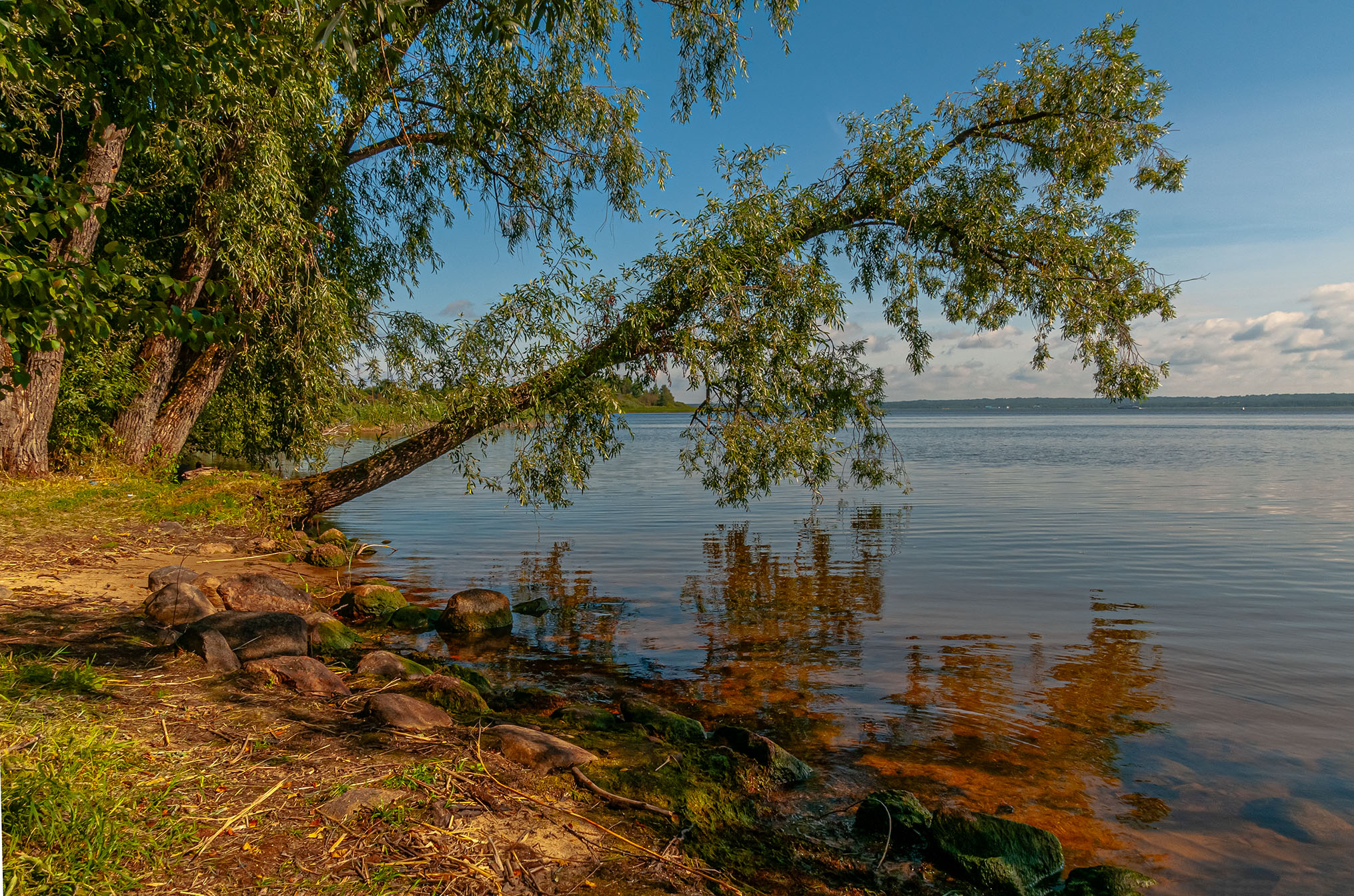 Загляделась.