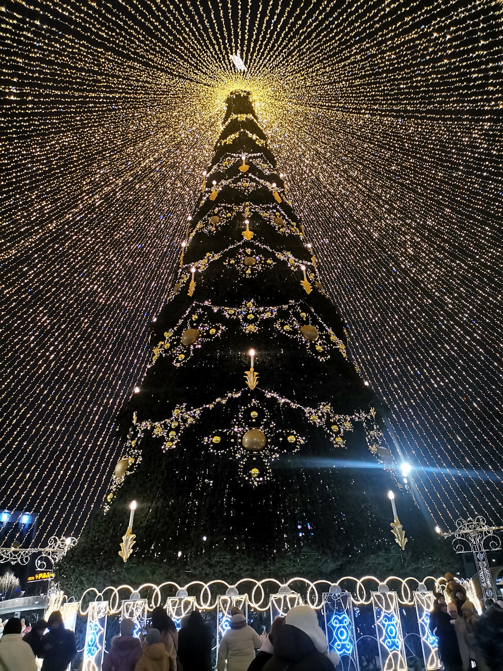 Ель