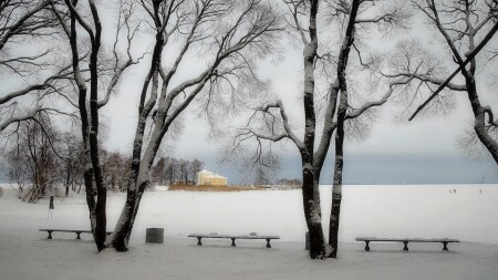 Петергоф