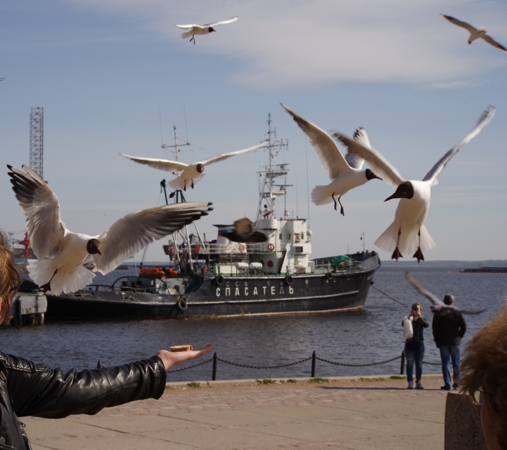 Успеть.