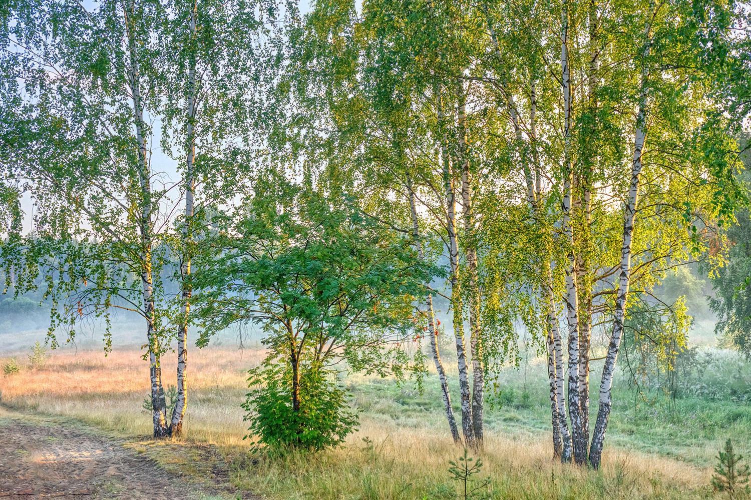 Светлое утро