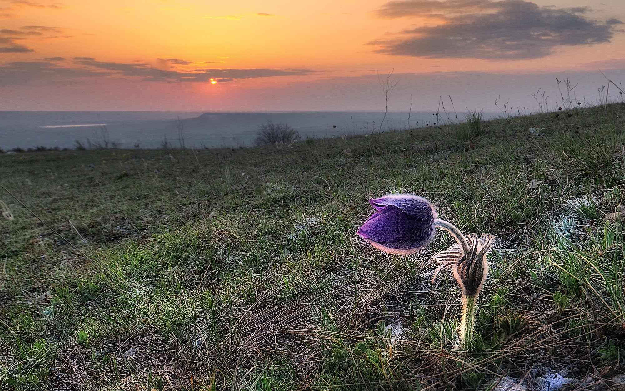 В Крыму в апреле на Таш-Джаргане.