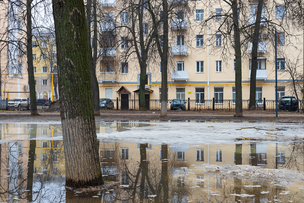 Отражение в луже талой воды