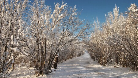 Спуск с горы