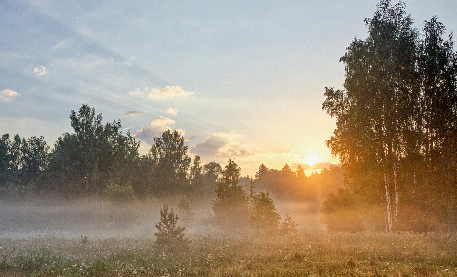 Панорама туманного утра