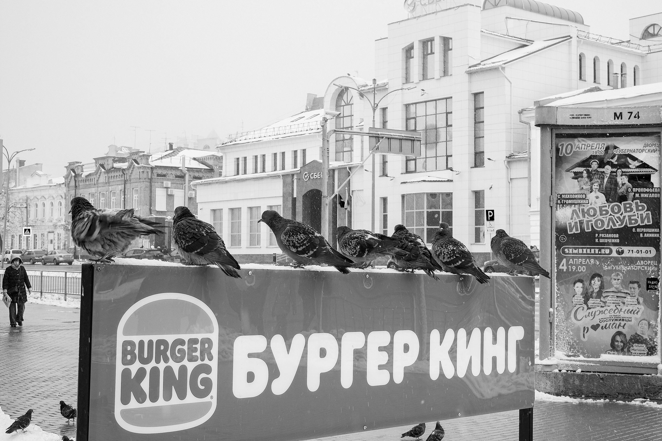 Голуби...