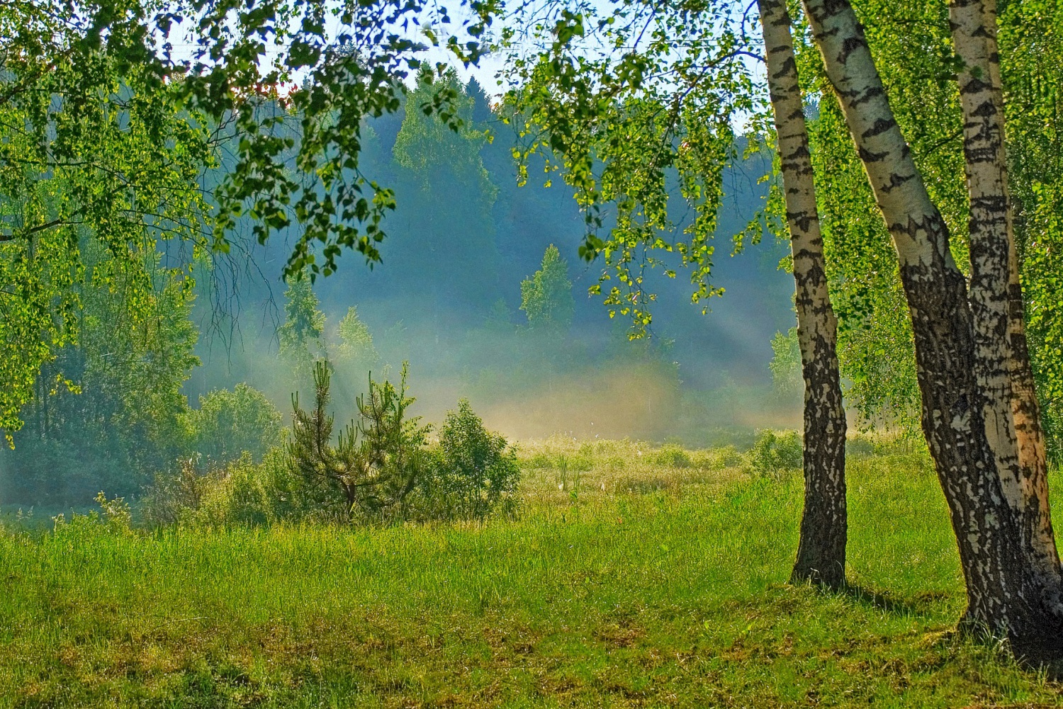 Весна