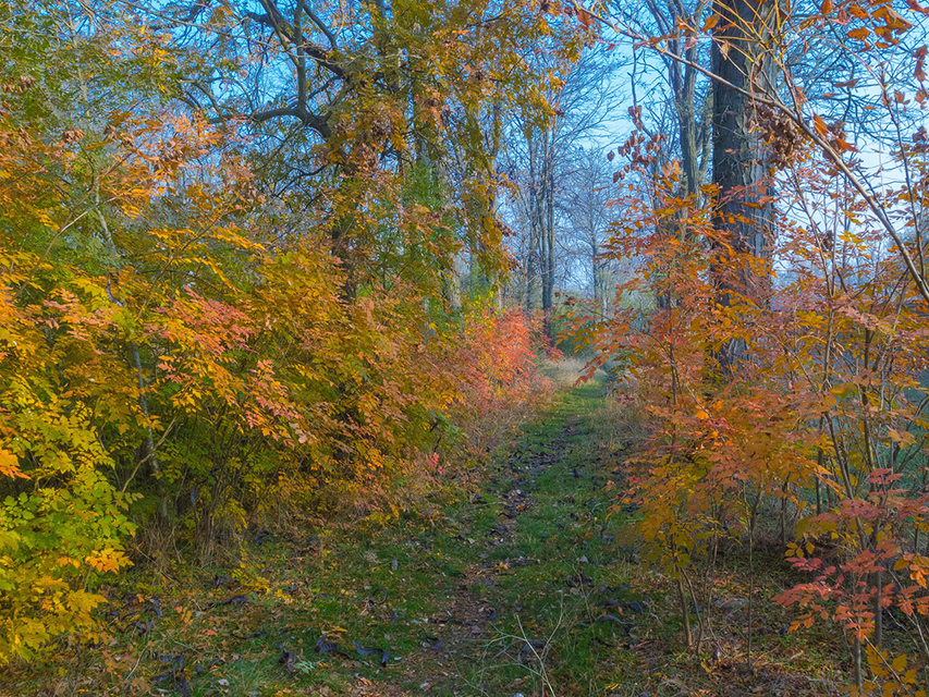 осень