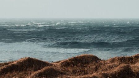 Берингово море.