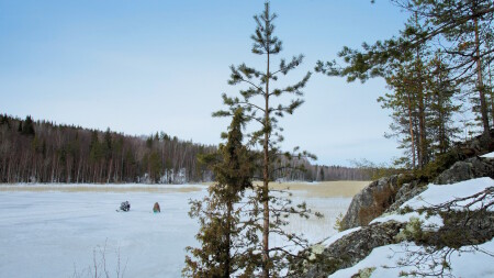Карелия